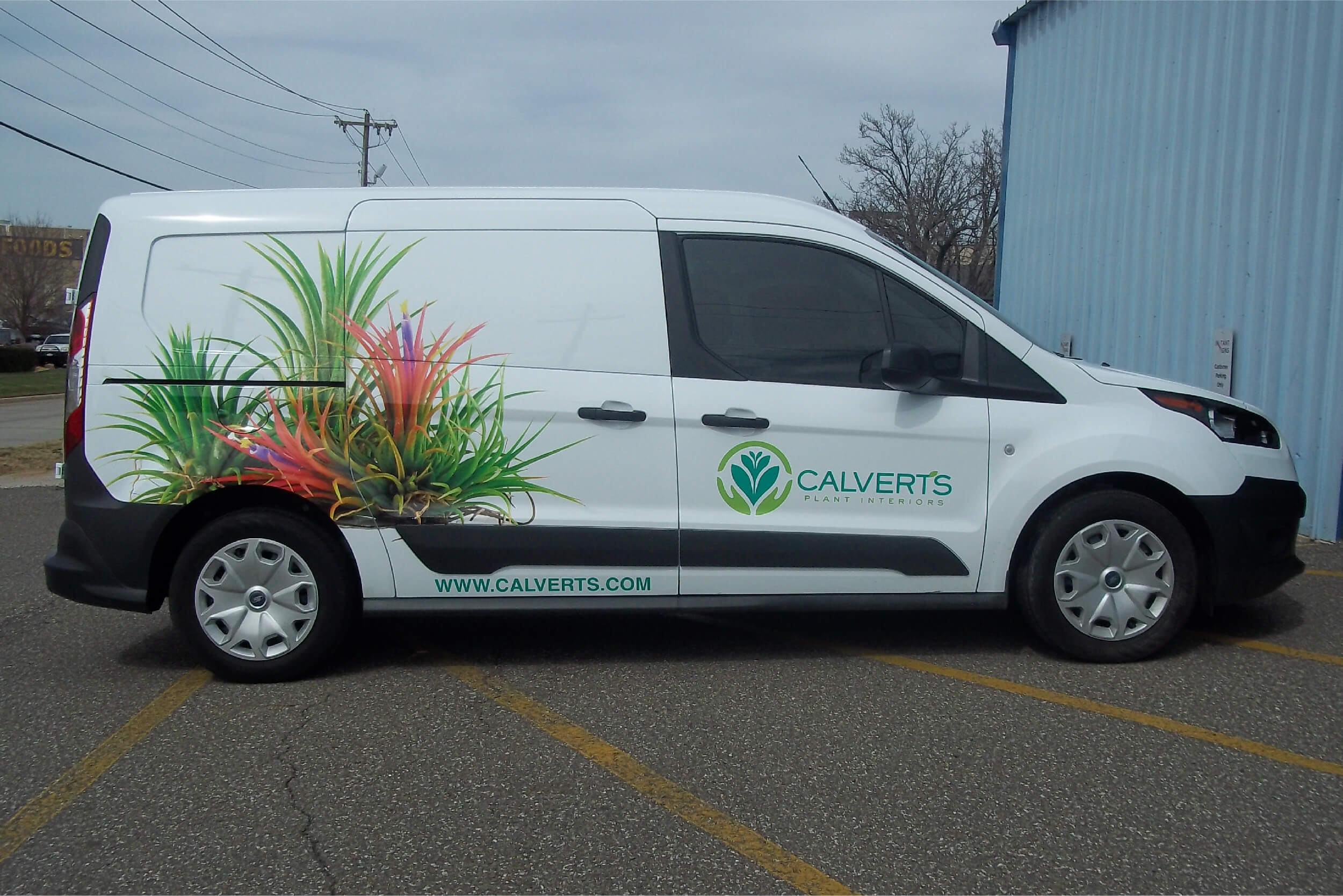 Printed Vinyl Graphics