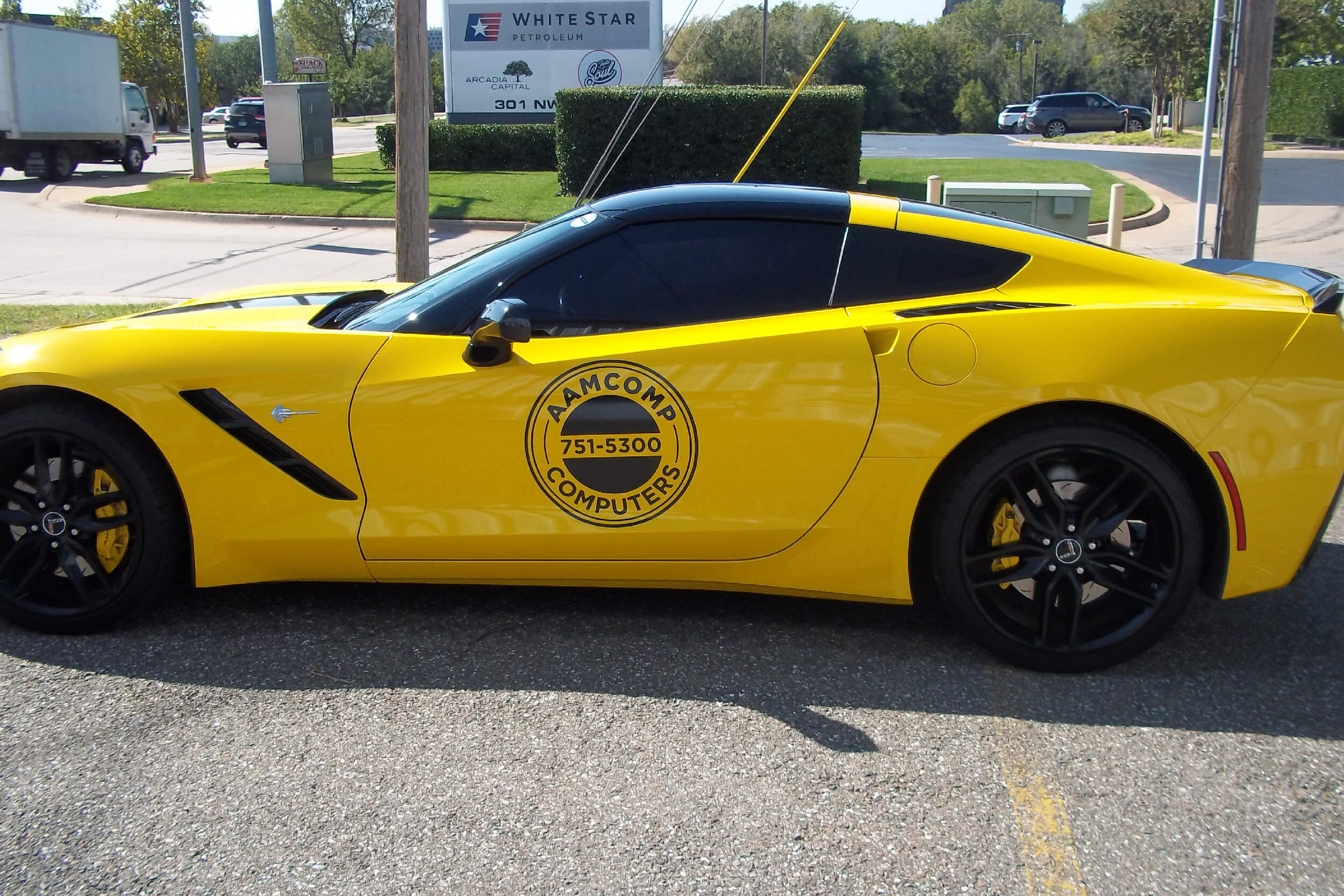 Car Door Graphic